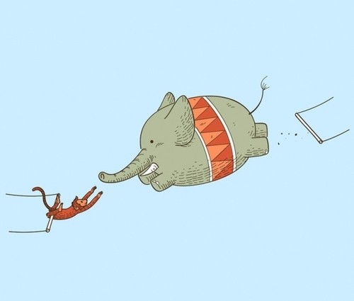 money takes elephant